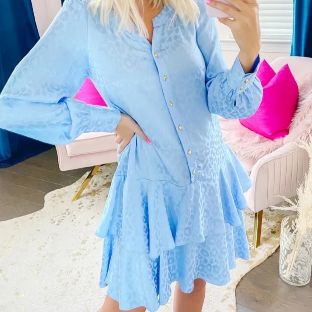 Sail to Sable Blue Animal Print Tiered Button Front Long Sleeve Dress Small